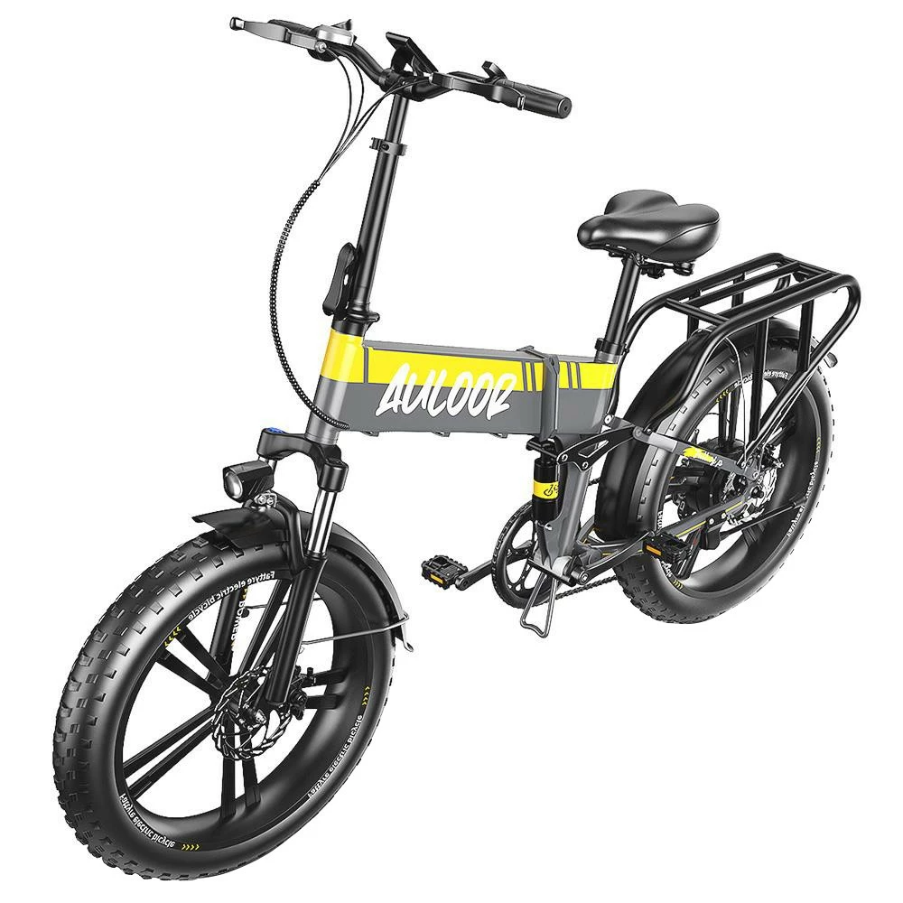 ZHENGBU HMF 20*4.0 Inch 12.8AH 750W Commuter Folding Electric Bike